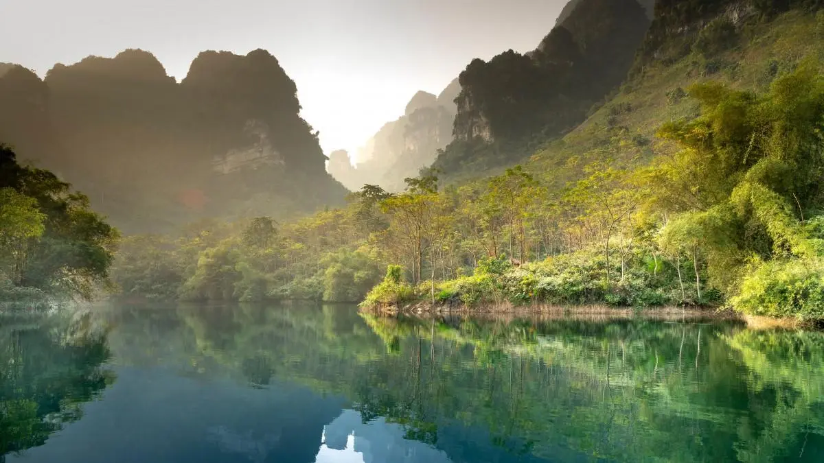 绿色科技工业